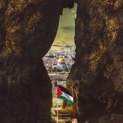 أخصائي تحليل واحصاء...محلل نظم معلومات ..رئيس قسم مبيعات وتسويق..مدير مالي واداري لمعهد تدريب وتأهيل