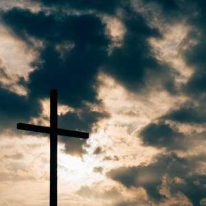 MueckeB43179's profile picture. 