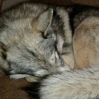 ୨୧ Jayden ୨୧ (@twilightrexic) 's Twitter Profile Photo ୨୧ Jayden ୨୧ (@twilightrexic) 's Twitter Profile Photo
