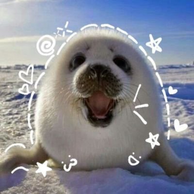 kittycatt1111's profile picture. eu amo os meus gatos