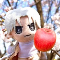 アップルパイ💙🍎 (@ringo_t_pie) 's Twitter Profile