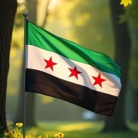 Mohammad Zian (@mohammadzi67671) 's Twitter Profile