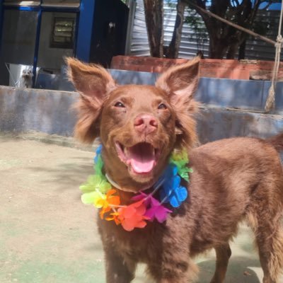 lifecastGustavo's profile picture. 