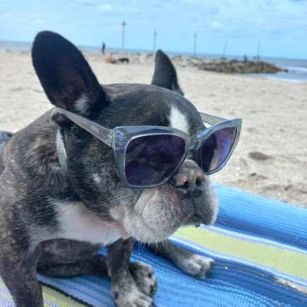 JacosSebas8659's profile picture. 