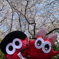 アリス✩.*˚ (@alicetu80515) 's Twitter Profile Photo アリス✩.*˚ (@alicetu80515) 's Twitter Profile Photo