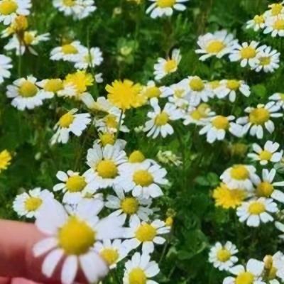 zehraeren79's profile picture. Kültür,sanat,politika,yaşama dair herşey✨️