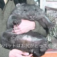 チャッゲP (@nakam0923) 's Twitter Profile Photo チャッゲP (@nakam0923) 's Twitter Profile Photo