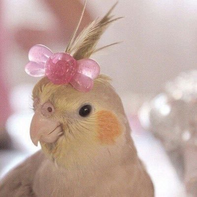 bluexsunset's profile picture. ｡ ˚ sound of music