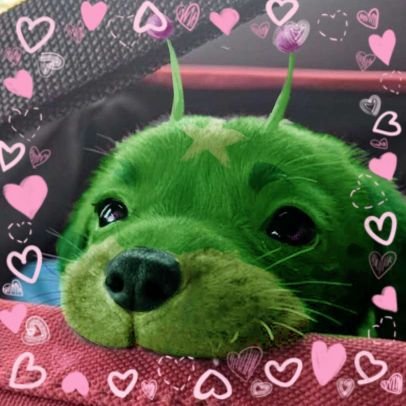 kaibu !!!!!!さんのプロフィール画像