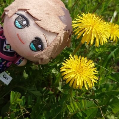 お萩さんのプロフィール画像