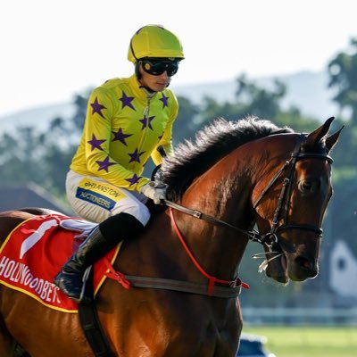 Professional Jockey.| Love my job.| currently based at Woodbine 🇨🇦| Raced internationally in🇿🇦 🇸🇬 🇿🇼 🇦🇪.|sports lover.| Loyal Arsenal supporter 💪🏼