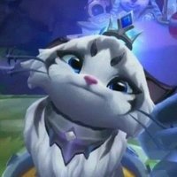 naomi (@viv_svj) 's Twitter Profile