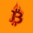 Profile image of Burncoin $BURN