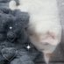 猫吸い (@nekona_s) Twitter profile photo 猫吸い (@nekona_s) Twitter profile photo