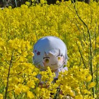 リエ 備後国 (@skycieloy) Twitter profile photo