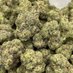 Weed delivery Florida and shipping (@rsans55120) Twitter profile photo Weed delivery Florida and shipping (@rsans55120) Twitter profile photo