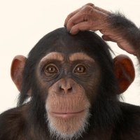 QTM (@zportdigitale13) 's Twitter Profile Photo QTM (@zportdigitale13) 's Twitter Profile Photo