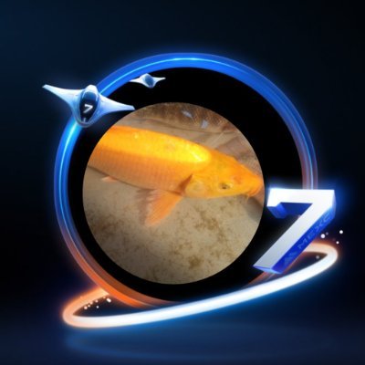 hassomoja's profile picture. 