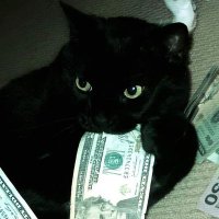 janni ☭ (@imperijannismus) 's Twitter Profile Photo
