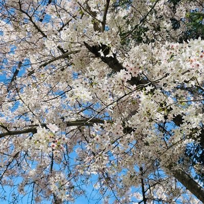 YangM6796's profile picture. 