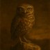Dusk Owl (@dammerungseule) Twitter profile photo Dusk Owl (@dammerungseule) Twitter profile photo