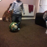 paul shiel (@shiely1971) 's Twitter Profile Photo