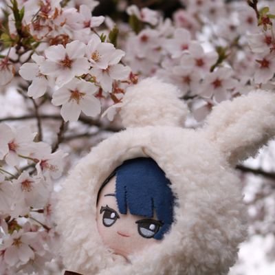 ちぃこさんのプロフィール画像