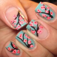 sanazashrafian (@365dayssunny) 's Twitter Profile