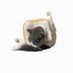 拈花一笑 (@tim7eee) Twitter profile photo 拈花一笑 (@tim7eee) Twitter profile photo