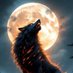 Silver Wolf (@gusslerbrandon) Twitter profile photo Silver Wolf (@gusslerbrandon) Twitter profile photo