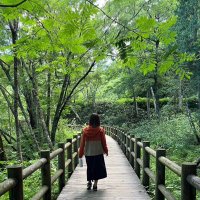 スタッフライフ|SES採用&バックオフィス (@stafflife_web) Twitter profile photo