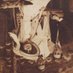 Beatrice Wood (@woodbeatrice69) Twitter profile photo Beatrice Wood (@woodbeatrice69) Twitter profile photo