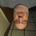Russell Kelly (@rkelly8756) Twitter profile photo Russell Kelly (@rkelly8756) Twitter profile photo