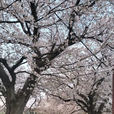 hirohiro8140's profile picture. ・チョコミントアイス依存症
・死ぬこと以外はかすり傷(かすり傷でも痛いのはヤダ！)
好きな言葉:一期一会、起死回生