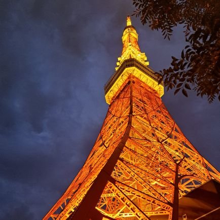 GP7Hg3XMQLTm6aE's profile picture. 