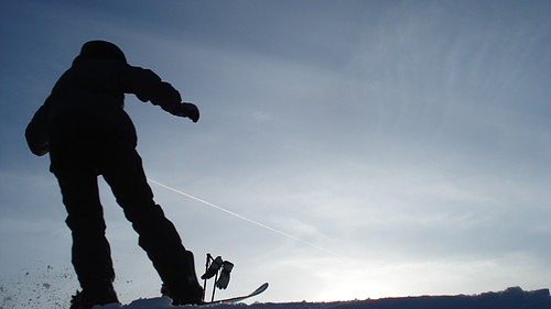 maxtetteroo's profile picture. 