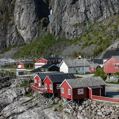 nVDJ0xpPhx17696's profile picture. 