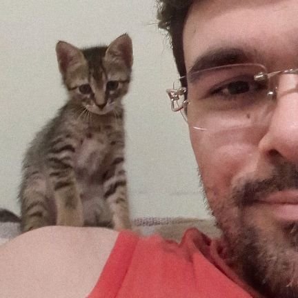 brunosburgo's profile picture. 