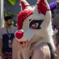 Nyx 🦊🇦🇺 🔜 Aurawra (@nyxcoyote) 's Twitter Profile