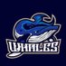 BITCOIN WHALE๐ณ๐๐ฌ (@bitcoin_whalez) Twitter profile photo BITCOIN WHALE๐ณ๐๐ฌ (@bitcoin_whalez) Twitter profile photo