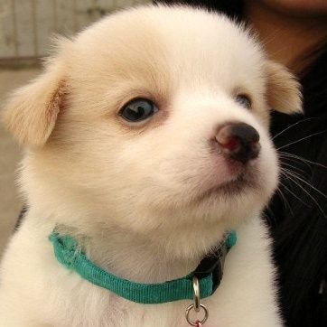 viyo3719's profile picture. 