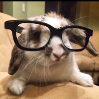 oli ꒰ᐢ. .ᐢ꒱ (@s33king_ali3ns) 's Twitter Profile Photo oli ꒰ᐢ. .ᐢ꒱ (@s33king_ali3ns) 's Twitter Profile Photo