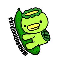 chrysanthemum(クリサンセマム) (@mum_9696) Twitter profile photo