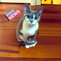 Rustallintsla (@rustallintsla) 's Twitter Profile