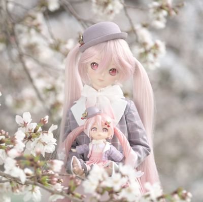 菊鈴さんのプロフィール画像