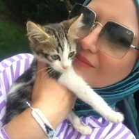 1 gün batımı 🇹🇷 ⚒️🏹 🛠️☠ 🪓🔥🧯⚰💣 (@1gunbatimi) 's Twitter Profile