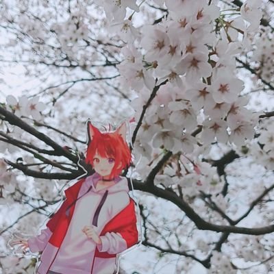 りき🎼🎧さんのプロフィール画像