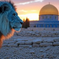 lion of zion 🇮🇱✡️ (@lionofzionisrae) Twitter profile photo