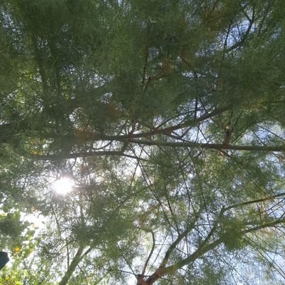 KabirHussa44257's profile picture. 