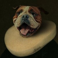 franzo (@franzo0403) 's Twitter Profile Photo